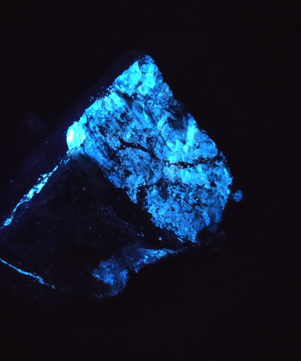 WhatsApp Image 2021-07-06 at 21.02.56.jpeg